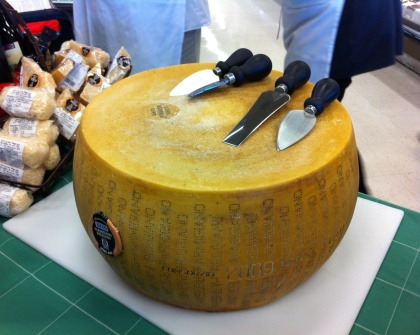 the-wheel-ready-for-cracking