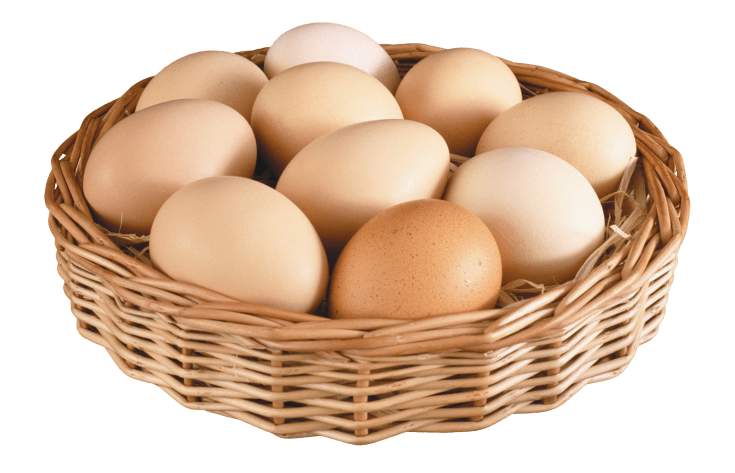 egg_png24