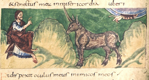 3363260044_7ec0617f87