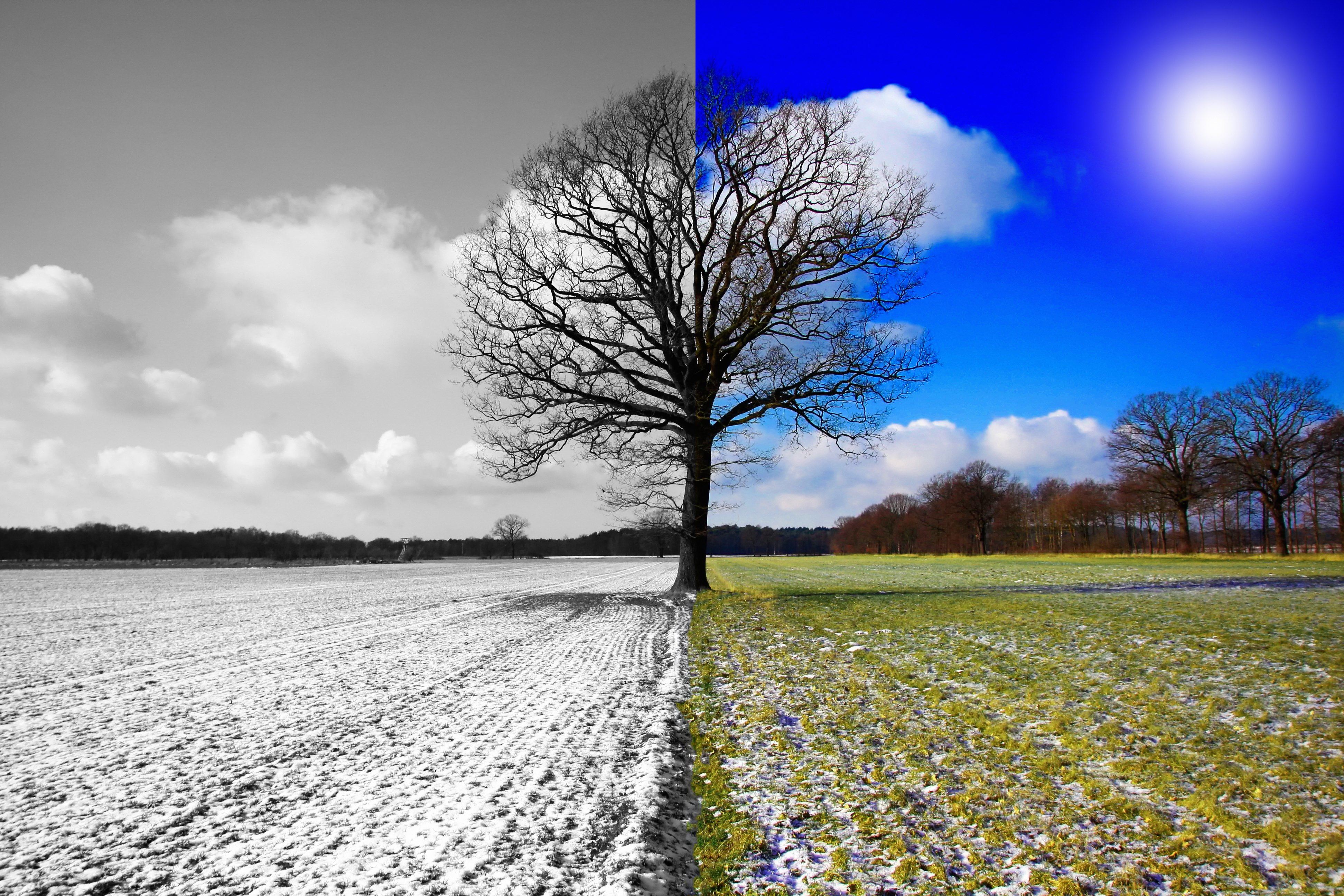winter-to-spring2