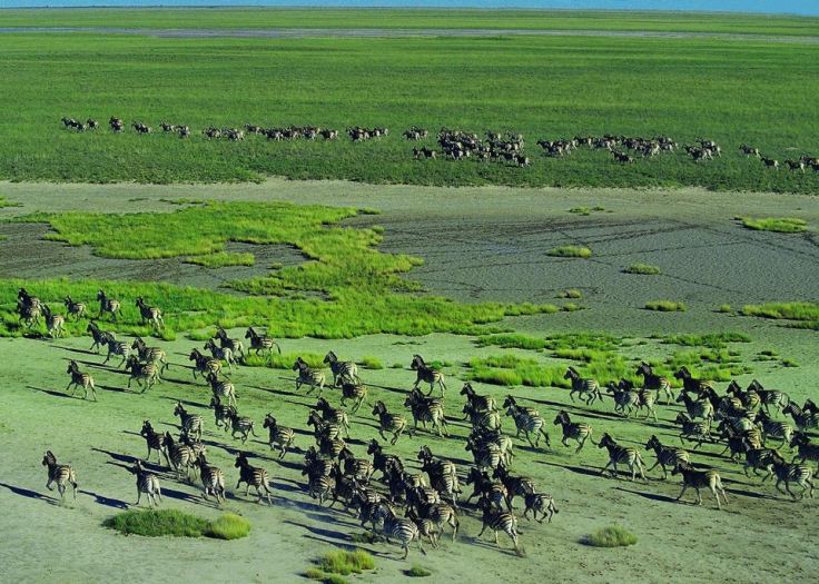 212189176054008187132011038171243114197246168206