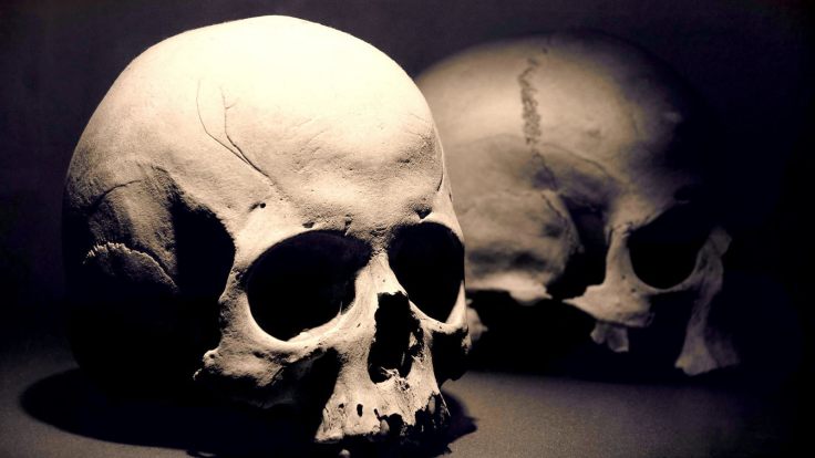 fv0j6x6wbqomrql7qkjw