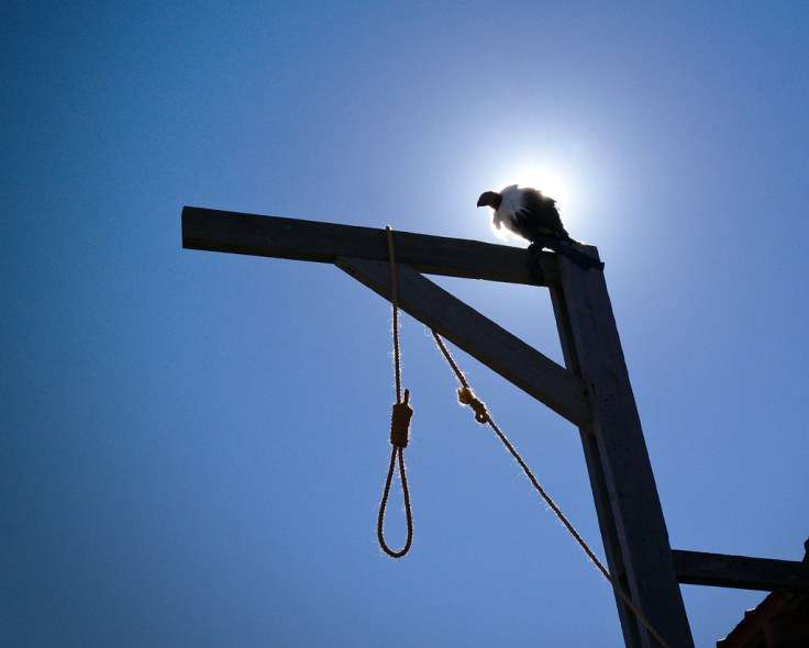 29885646575_62806c67c9_b