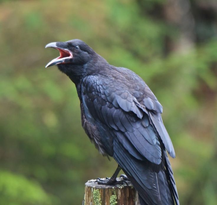 3f3398e10b275d21c698e4918748f790