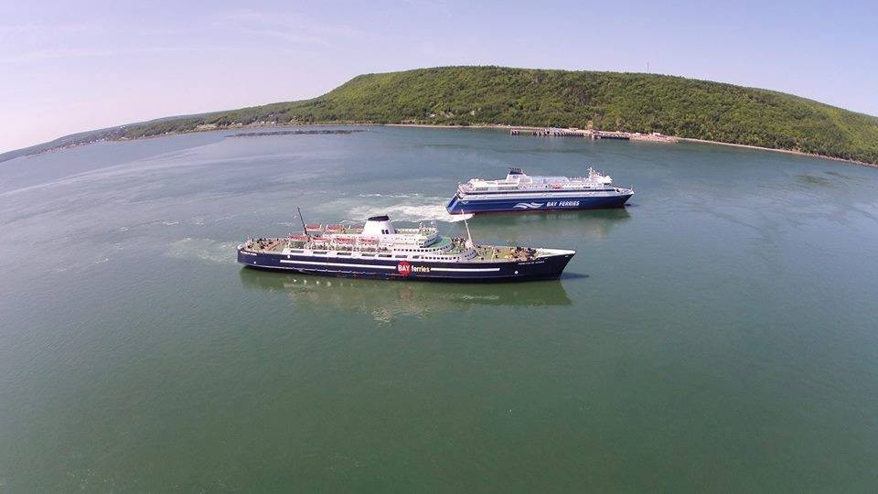 fundy-rose-princess-of-acadia-