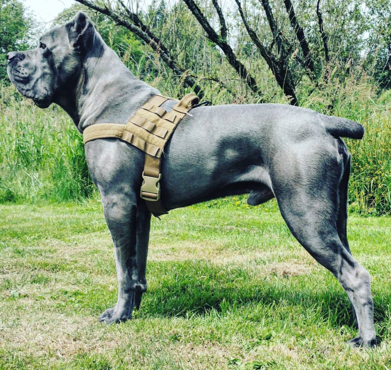 7397459fb378c0b6a2661b76fb805362