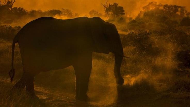 6e2719ec-0809-11e8-90ea-37dc70df54a3