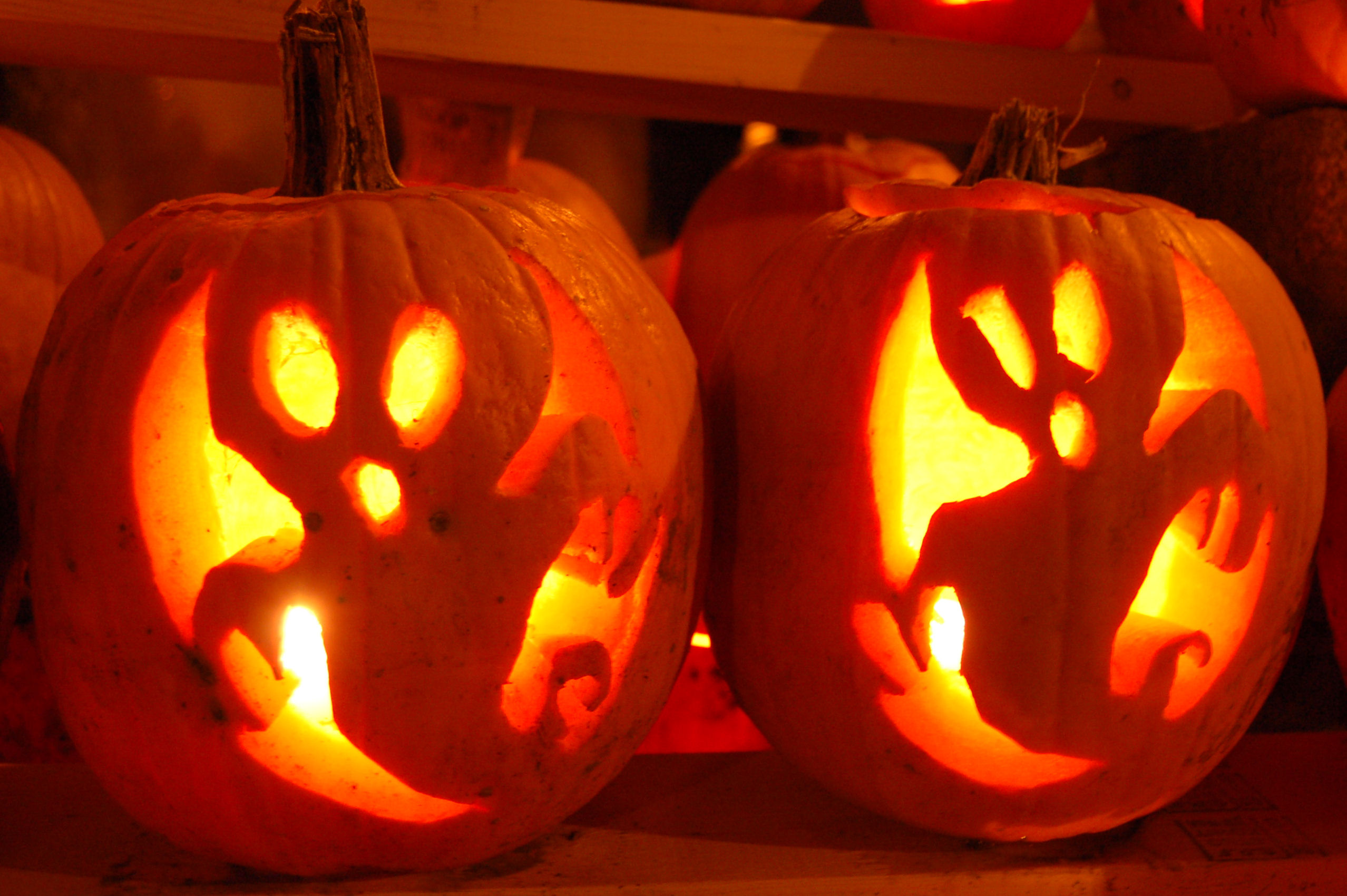 two-halloween-ghosts-pumpkin