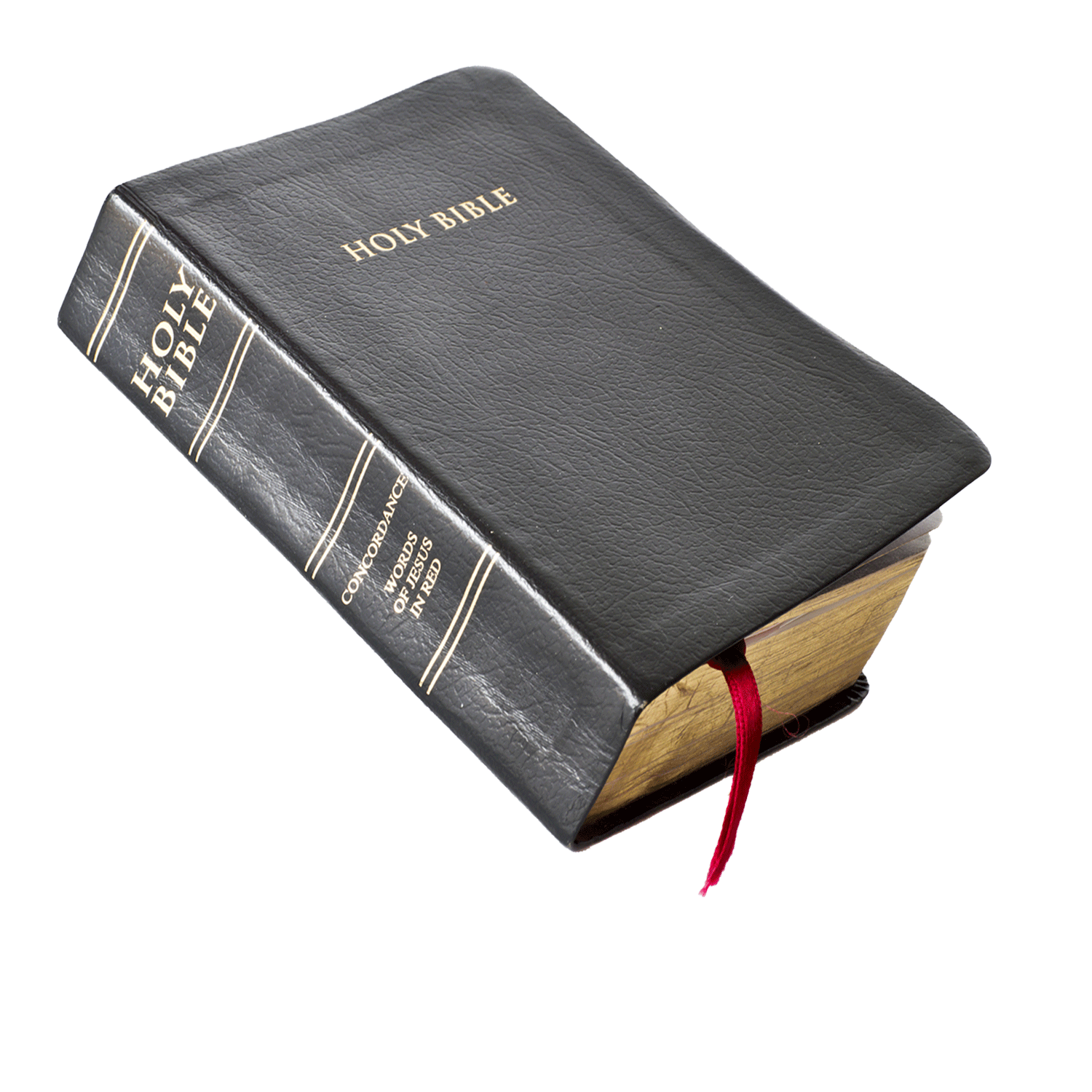 isolated-bible-free-read-the-bible-seminar-bg