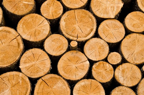 5e9006cb86c3456ba85963ccc03183d9