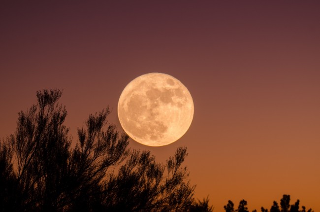 first-supermoon-in-april-2020-see-the-biggest-and-brightest-pink-full-moon-happening-on-apr-7