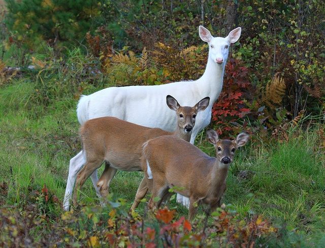 a2da0ee76b4b8d0e8dca30f7f86e93cf