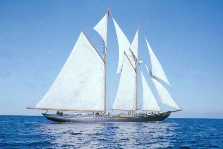 bluenose-2923783_large